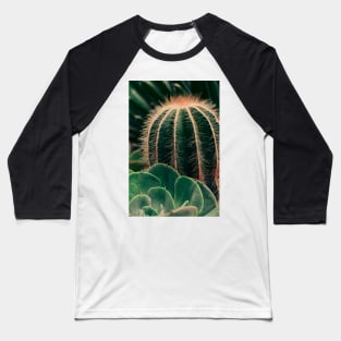 Cactus Botanical Study 2 Baseball T-Shirt